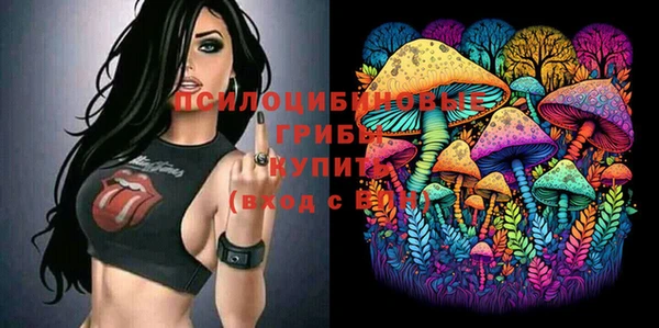 герыч Дмитровск