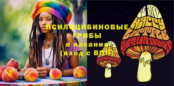 герыч Дмитровск