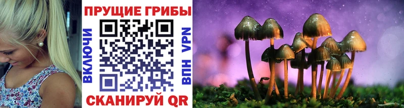 Галлюциногенные грибы Magic Shrooms  Купить где  Холмск 